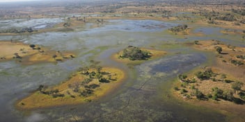 Cubango-Okavango River Basin