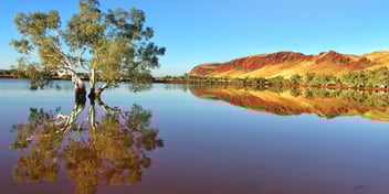 Image credit: Brendan Stratton and BHP.