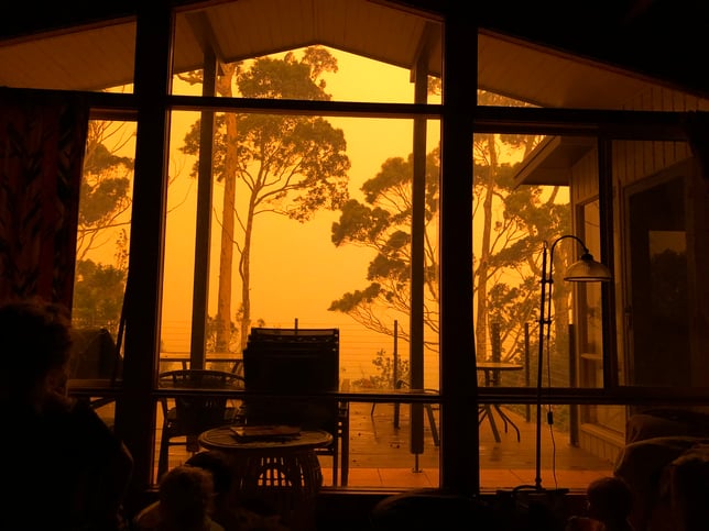 Bushfires 3