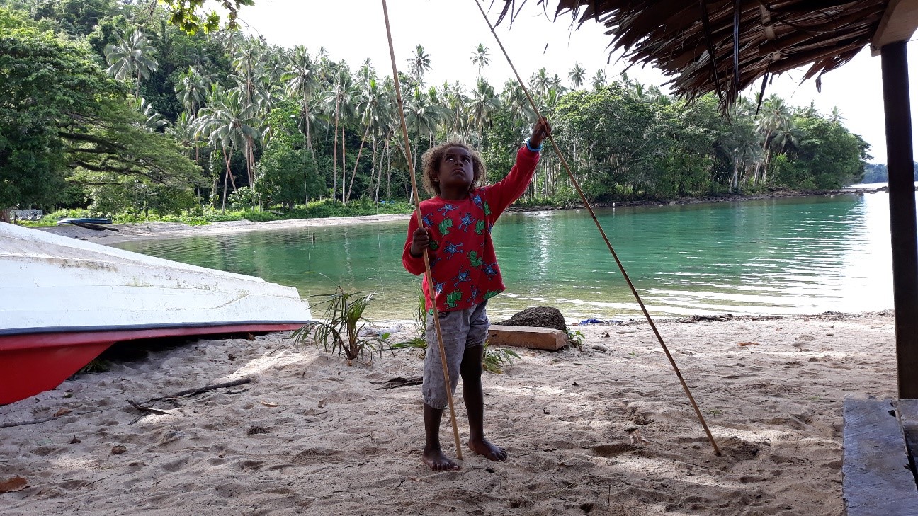 Research project in the Solomon Islands 