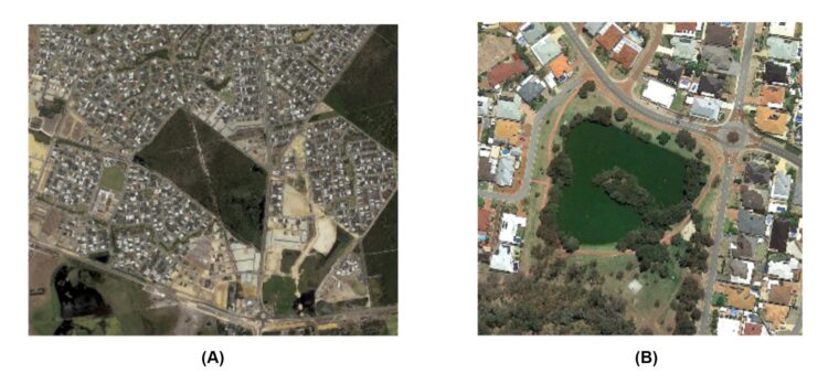 (A) An area in Perth surrounded by multiple urban developments, many of which used fill to elevate the land surface. (B) A lake in the greater Perth metropolitan region showing a green algal bloom. Eutrophication in the lake is primarily driven by groundwater inflows, and became problematic approximately 15-20 years following urbanisation of the surrounding area.