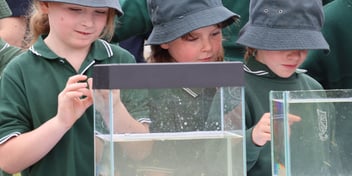 Merrigum Primary School students help release Southern Purple-Spotted Gudgeon into the Dunyak Moira Fishing Ponds