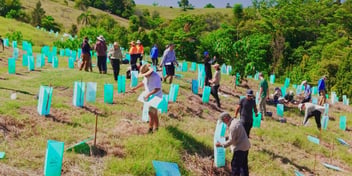 Volunteers from the Roving Restorers planting 500 trees to connect koala habitat, supported by Unitywater's Healthy and Thriving Community Grants Program.