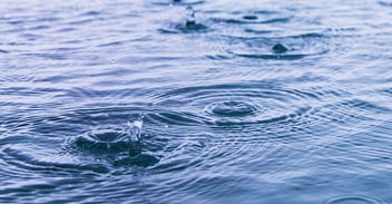 Week in water 30 June