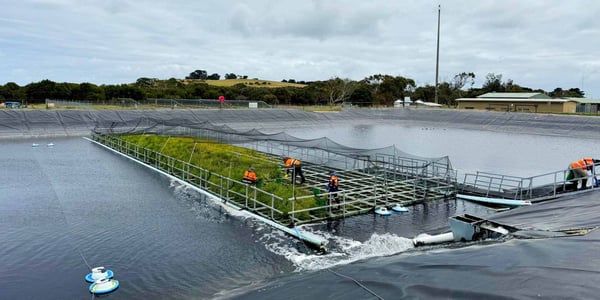 floating_wetland_banner