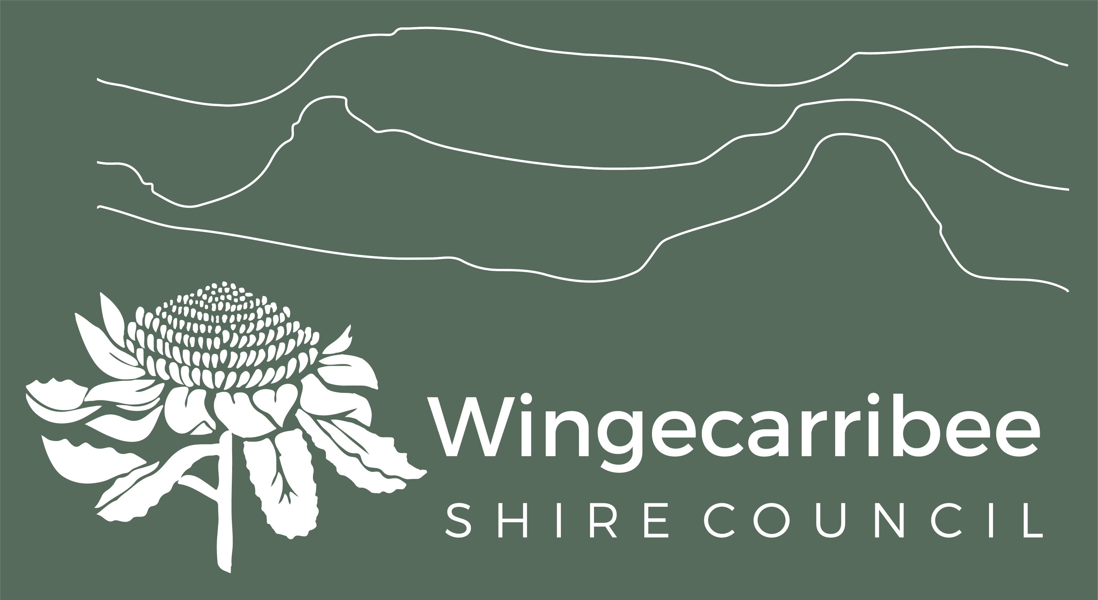 Wingecarribee Shire Council