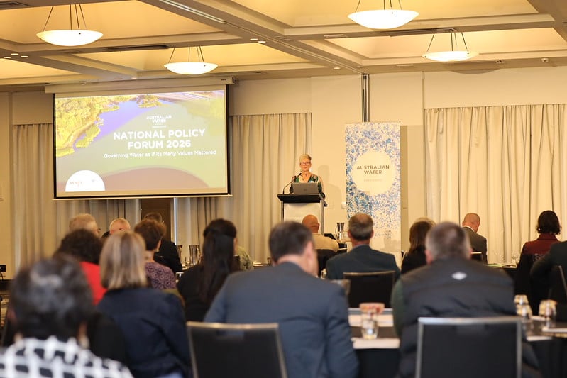 55178758800_7d57a1e835_c