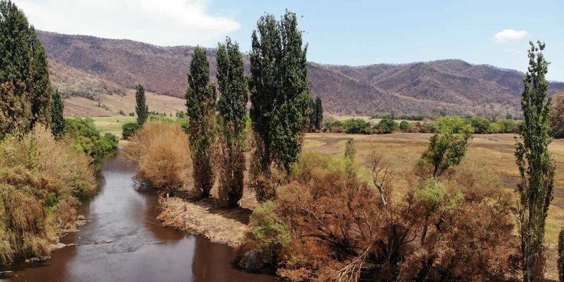 Chocolate coloured muddy water in the Upper Murray river at Biggara, NSW, following heavy rain immediately after the 2019-20 bushfire. Photo © WaterNSW