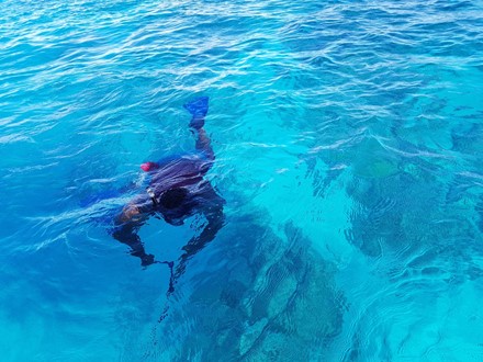 Fiji_snorkelling