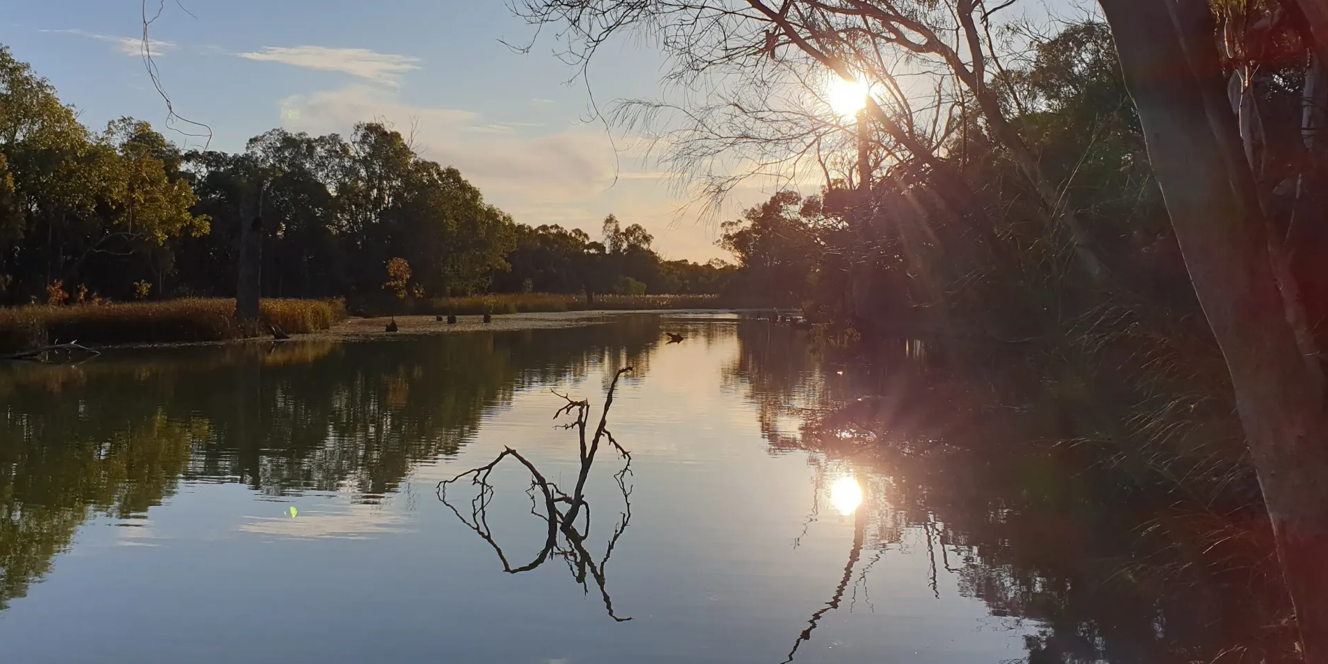 Murray River