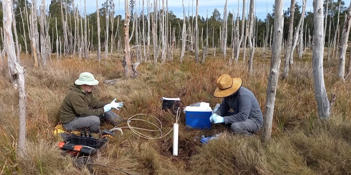 Field work conducted in northern NSW. Image credit: UNSW