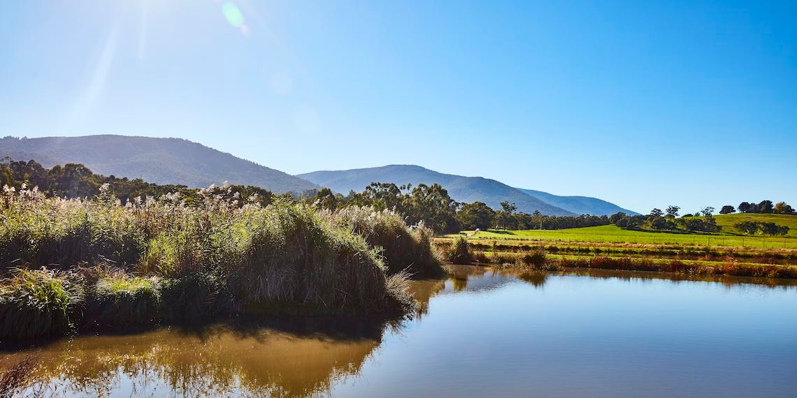 Upper_Yarra-1