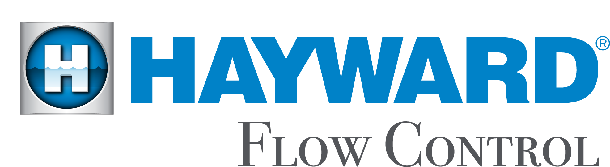 Hayward Flow Control